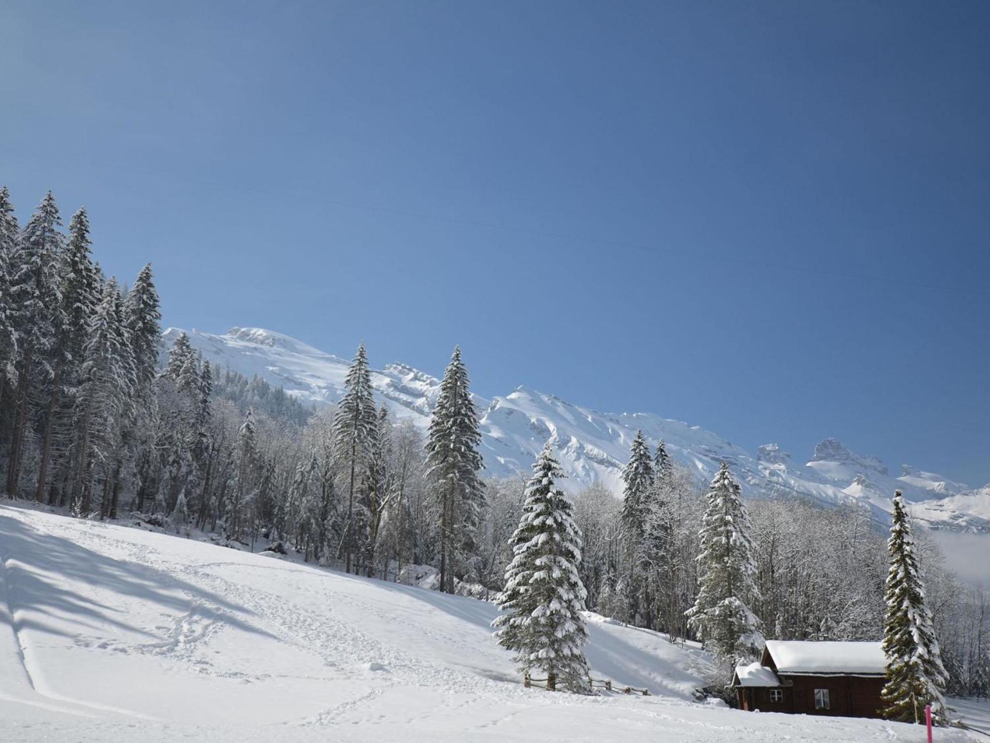 Apartment Chalet Heureka-Horbis By Interhome Engelberg Esterno foto